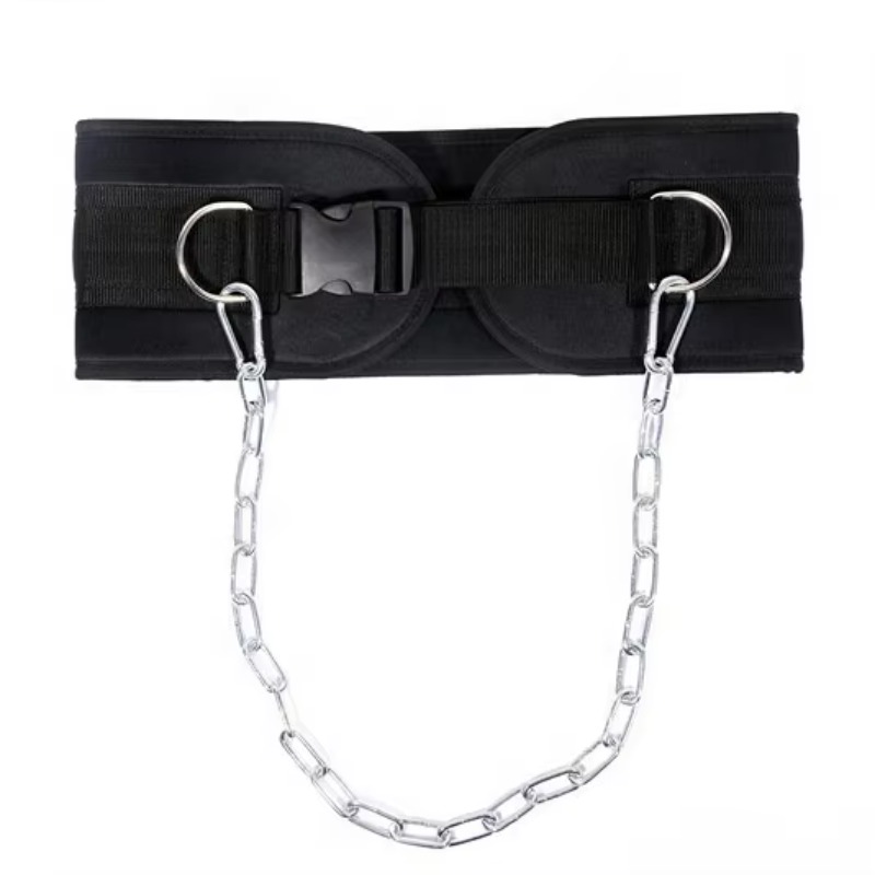 Exercise Equipment Heavy Chain - đánh giá và giá Weight Lifting Belt