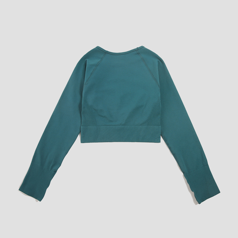 Women's Shirt Seamless Crop To - đánh giá và giá Yoga Fitness Hk