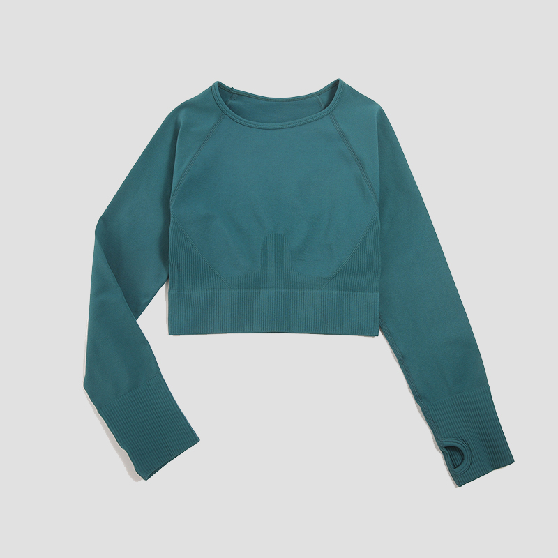 Áo Sơ Mi Nữ Liền Mạch Crop Top - đánh giá và giá Yoga Fitness Hk